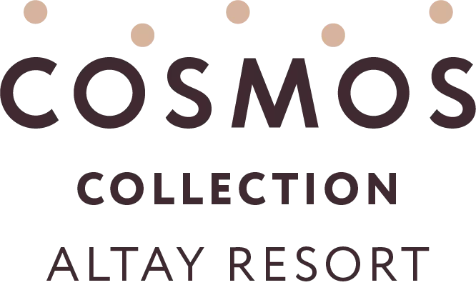 Cosmos Hotel Group